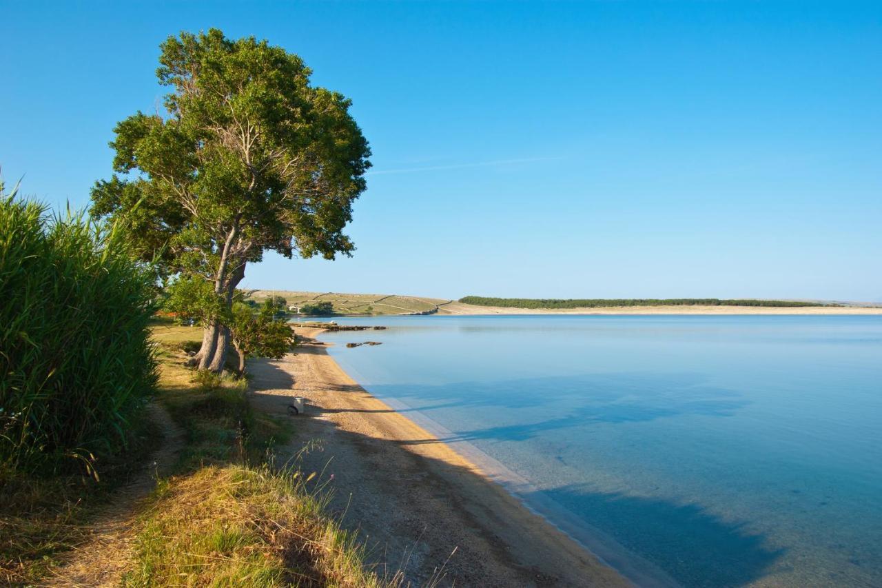Family Friendly Apartments With A Swimming Pool Povljana, Pag - 244 Eksteriør billede