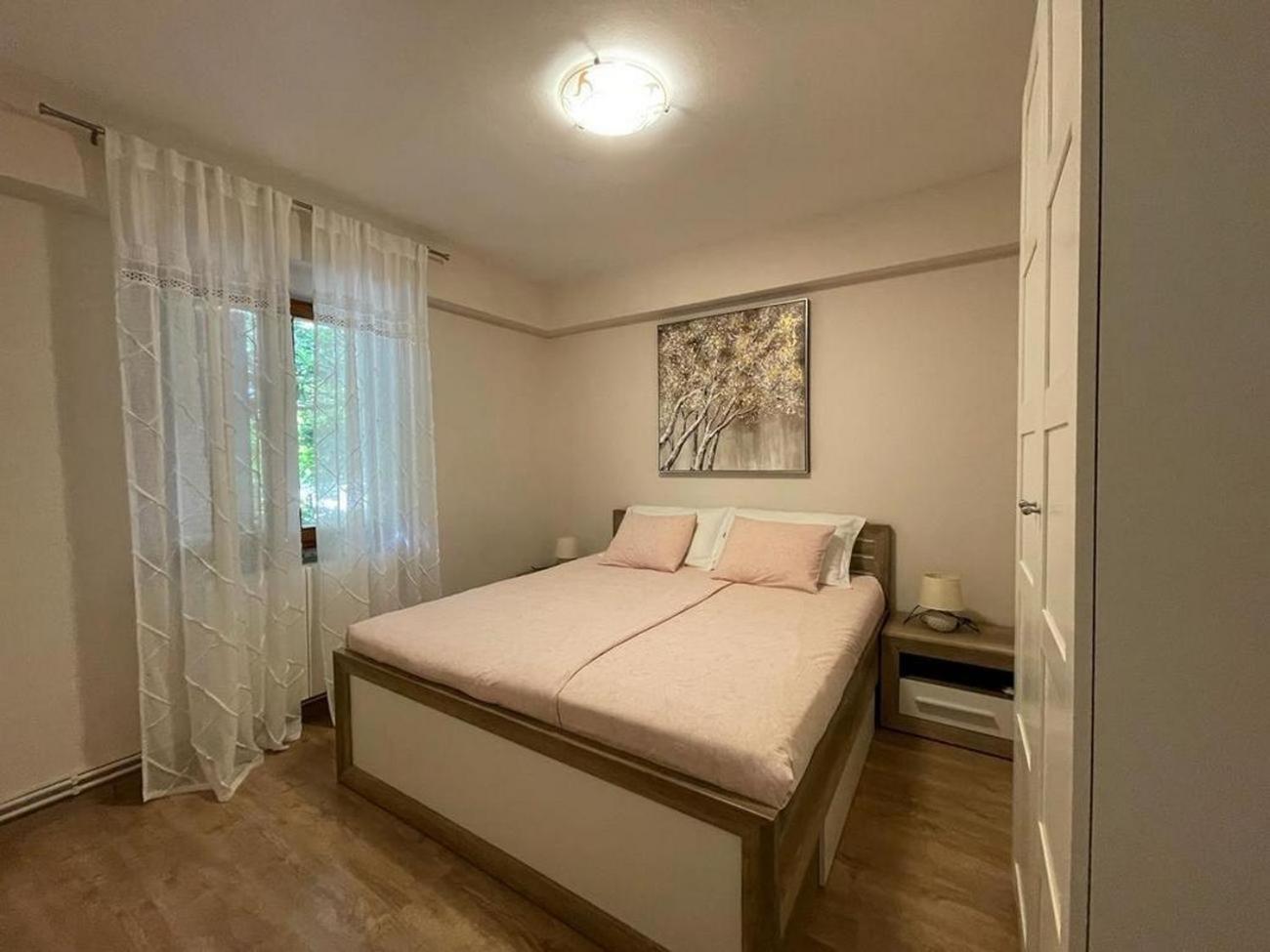 Family Friendly Apartments With A Swimming Pool Povljana, Pag - 244 Eksteriør billede